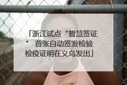 浙江试点“智慧签证” 首张自动签发检验检疫证明在义乌发出