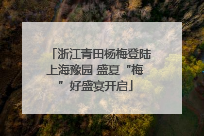 浙江青田杨梅登陆上海豫园 盛夏“梅”好盛宴开启