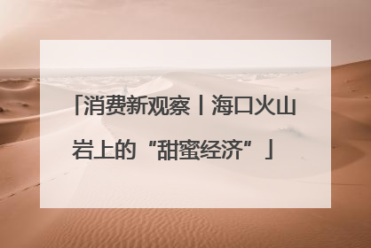 消费新观察丨海口火山岩上的“甜蜜经济”