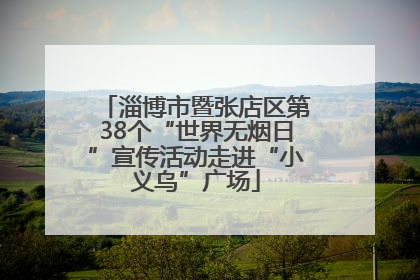 淄博市暨张店区第38个“世界无烟日”宣传活动走进“小义乌”广场
