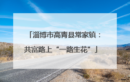 淄博市高青县常家镇：共富路上“一路生花”