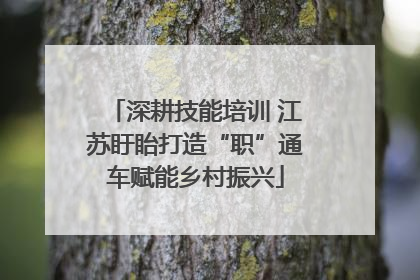 深耕技能培训 江苏盱眙打造“职”通车赋能乡村振兴