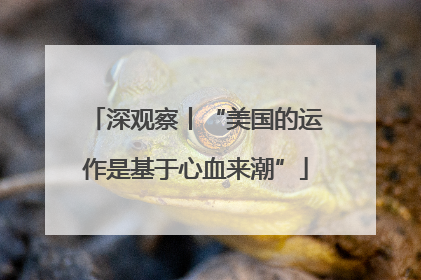 深观察丨“美国的运作是基于心血来潮”