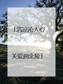 清凉沁人心 关爱润金陵