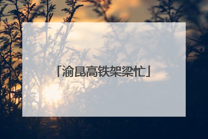 渝昆高铁架梁忙
