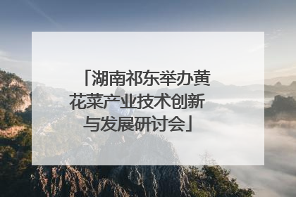 湖南祁东举办黄花菜产业技术创新与发展研讨会