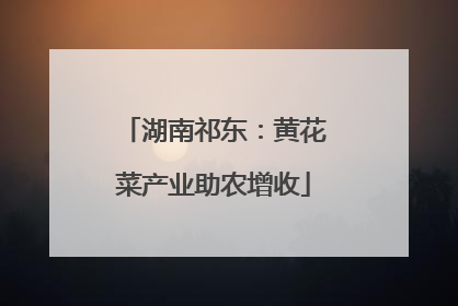 湖南祁东：黄花菜产业助农增收