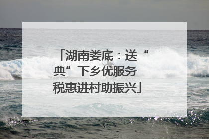湖南娄底：送“典”下乡优服务 税惠进村助振兴
