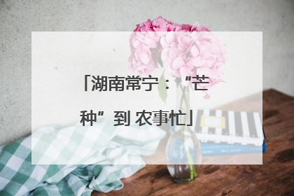 湖南常宁：“芒种”到 农事忙
