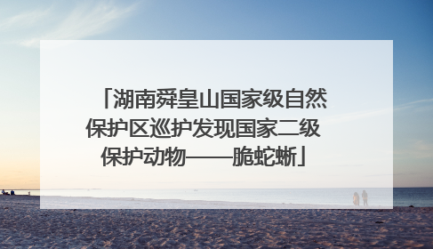 湖南舜皇山国家级自然保护区巡护发现国家二级保护动物——脆蛇蜥