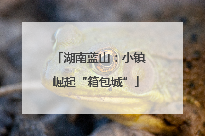 湖南蓝山：小镇崛起“箱包城”