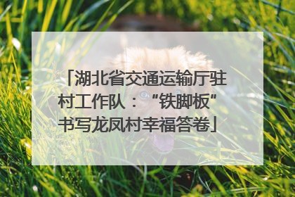 湖北省交通运输厅驻村工作队：“铁脚板”书写龙凤村幸福答卷