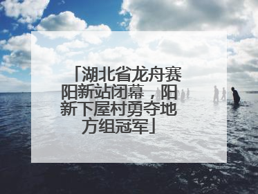 湖北省龙舟赛阳新站闭幕，阳新下屋村勇夺地方组冠军