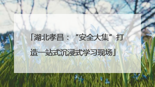 湖北孝昌：“安全大集”打造一站式沉浸式学习现场