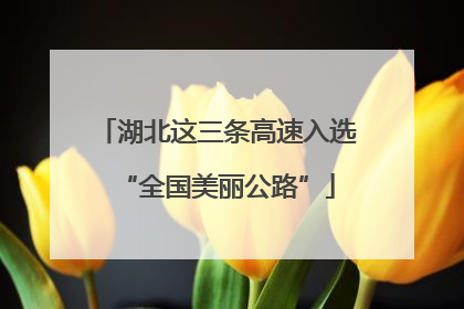 湖北这三条高速入选“全国美丽公路”