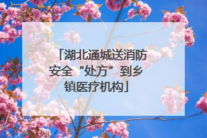 湖北通城送消防安全“处方”到乡镇医疗机构