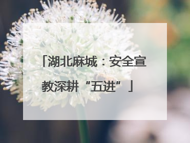 湖北麻城：安全宣教深耕“五进”