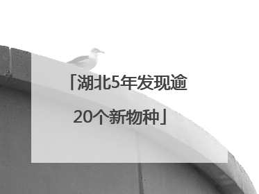 湖北5年发现逾20个新物种