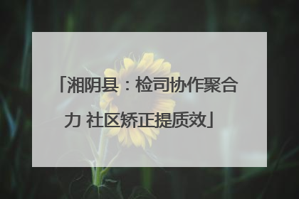 湘阴县：检司协作聚合力 社区矫正提质效