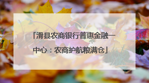 滑县农商银行普惠金融一中心：农商护航粮满仓