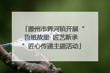 滕州市界河镇开展“鲁班故里· 匠艺新承”匠心传递主题活动