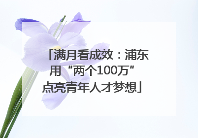 满月看成效：浦东用“两个100万”点亮青年人才梦想