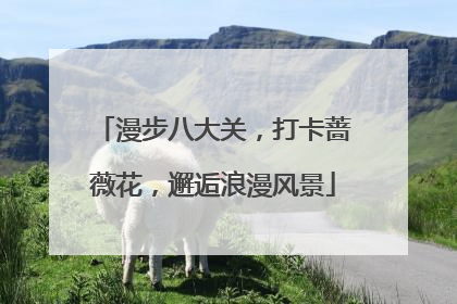 漫步八大关，打卡蔷薇花，邂逅浪漫风景