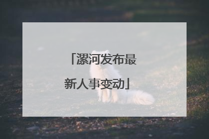 漯河发布最新人事变动