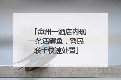 漳州一酒店内现一条活鳄鱼，警民联手快速处置