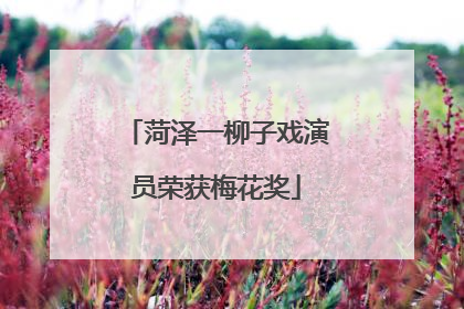菏泽一柳子戏演员荣获梅花奖