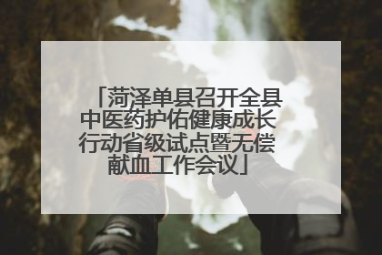 菏泽单县召开全县中医药护佑健康成长行动省级试点暨无偿献血工作会议