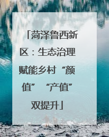 菏泽鲁西新区：生态治理赋能乡村“颜值”“产值”双提升