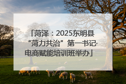 菏泽：2025东明县“菏力共治”第一书记·电商赋能培训班举办