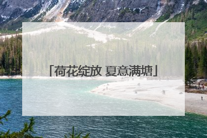 荷花绽放 夏意满塘