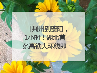 荆州到襄阳，1小时！湖北首条高铁大环线即将“画圆”
