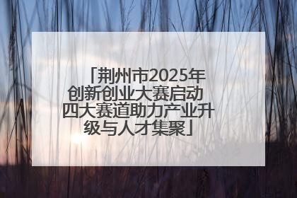荆州市2025年创新创业大赛启动 四大赛道助力产业升级与人才集聚