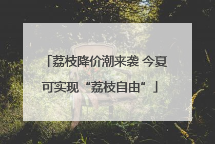 荔枝降价潮来袭 今夏可实现“荔枝自由”