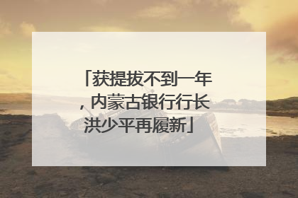 获提拔不到一年，内蒙古银行行长洪少平再履新
