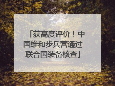 获高度评价！中国维和步兵营通过联合国装备核查
