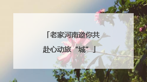 老家河南邀你共赴心动旅“城”