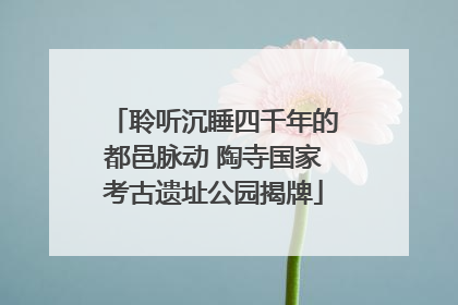 聆听沉睡四千年的都邑脉动 陶寺国家考古遗址公园揭牌