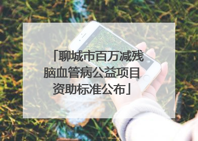 聊城市百万减残脑血管病公益项目资助标准公布