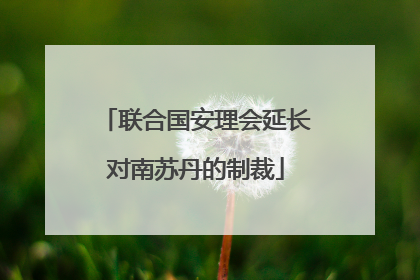 联合国安理会延长对南苏丹的制裁
