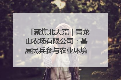 聚焦北大荒｜青龙山农场有限公司：基层民兵参与农业环境综合治理显效