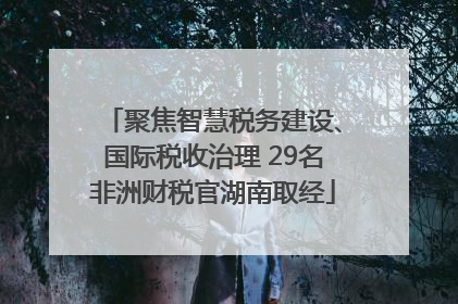 聚焦智慧税务建设、国际税收治理 29名非洲财税官湖南取经