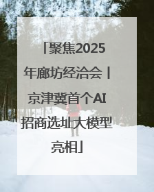 聚焦2025年廊坊经洽会丨京津冀首个AI招商选址大模型亮相