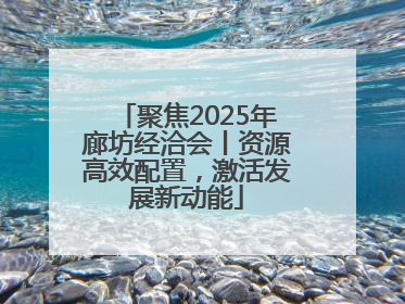 聚焦2025年廊坊经洽会丨资源高效配置，激活发展新动能