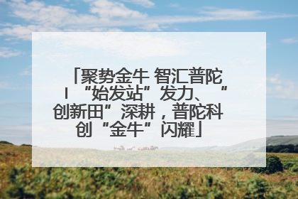聚势金牛 智汇普陀〡“始发站”发力、“创新田”深耕，普陀科创“金牛”闪耀