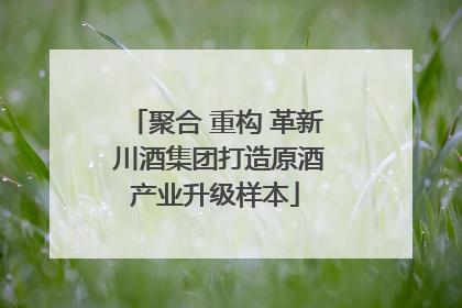 聚合 重构 革新 川酒集团打造原酒产业升级样本