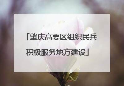 肇庆高要区组织民兵积极服务地方建设